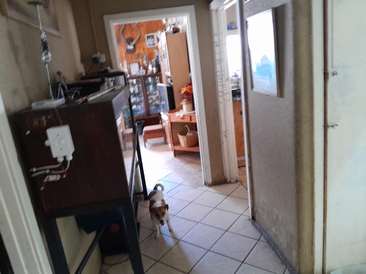 707982_20240207_161507.jpg