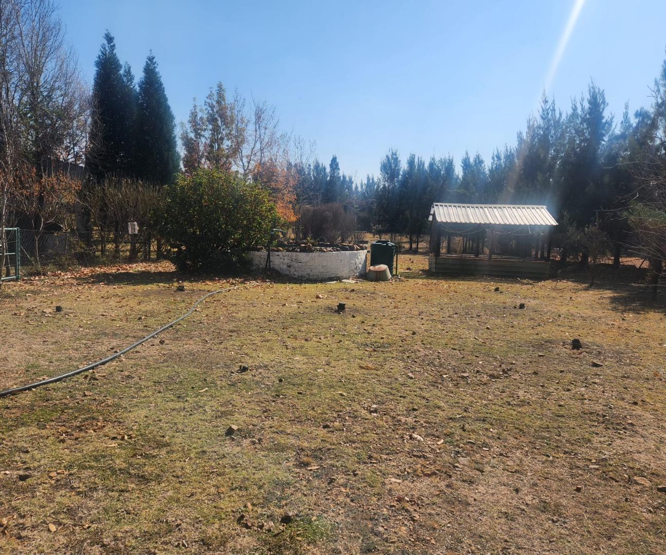 715436_IMG-20240621-WA0086.jpg