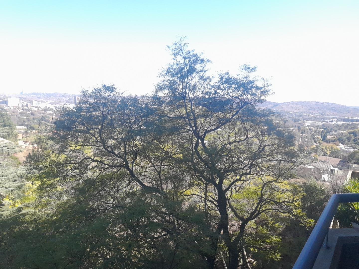 715768_20240728_104402.jpg
