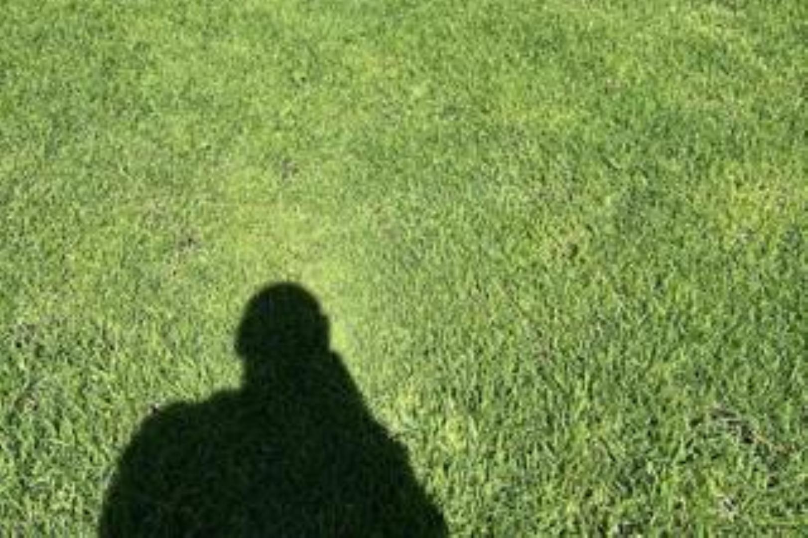 751072_2.jpeg