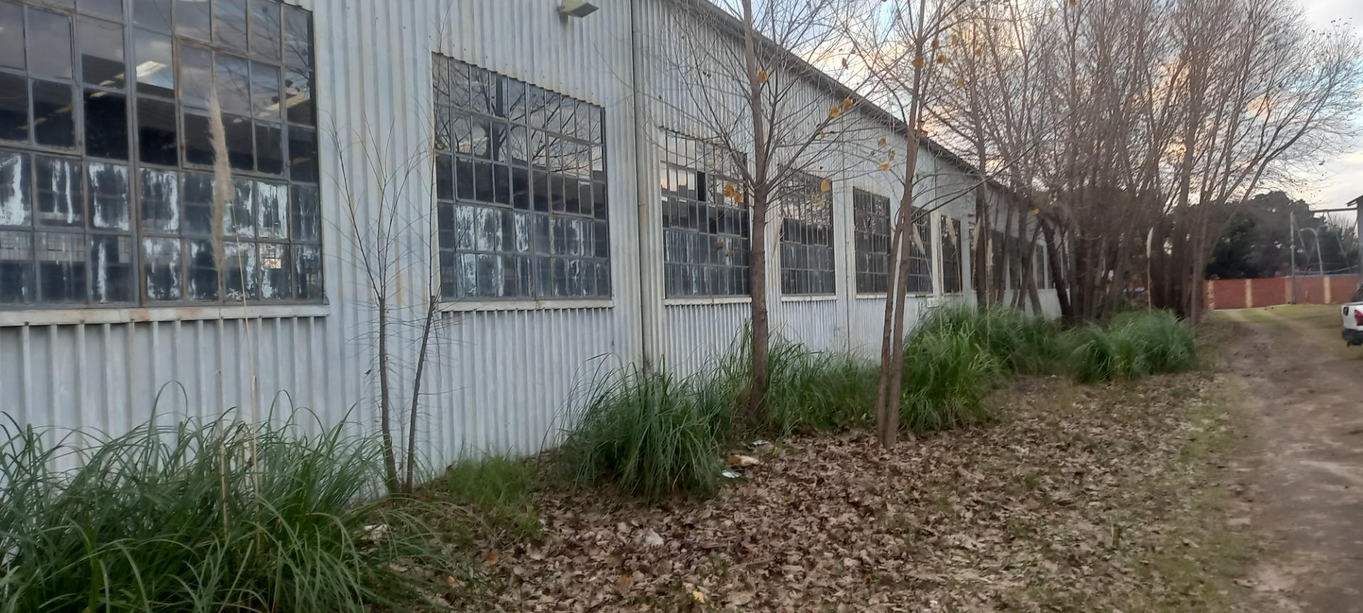 751595_20250626_163854.jpg