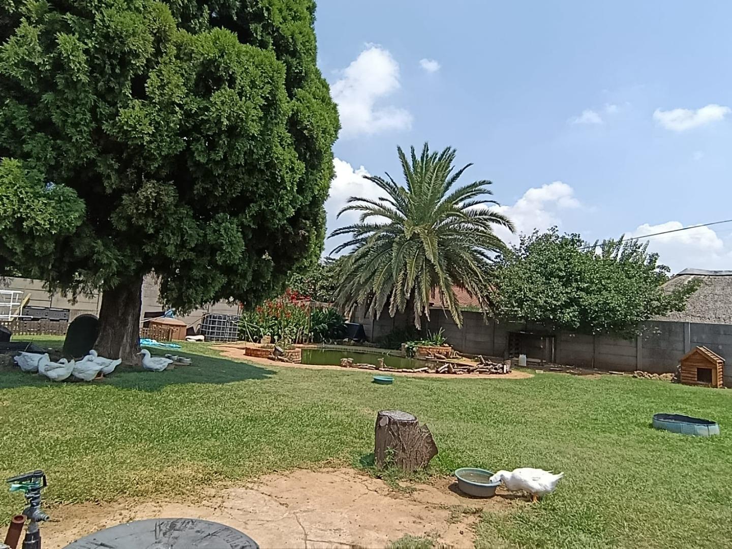 762635_WhatsApp_Image_2026-01-27_at_13.55.27_(2).jpeg